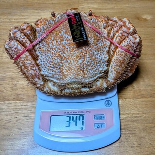 できたて注文寿司 100円くりっぱー_0