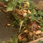 レストラン マノワ - ロワールのホワイトアスパラ