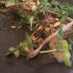 レストラン マノワ - 山梨の山菜  うど、山クレソン、ヤブカンゾウ、山ぜりなど