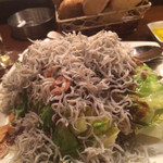 びすとろ UOKIN - しらすたっぷりアンチョビキャベツ