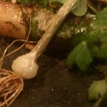 レストラン マノワ - ノビルのフリットは、根が、絶品！