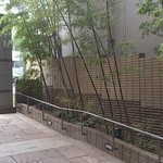 レストラン マノワ - エントランスのバンブーたち