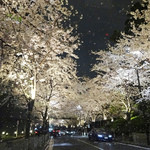 Jean-Georges Tokyo - 六本木アークヒルズ通り