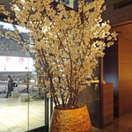 Jean-Georges Tokyo - エントランスの桜