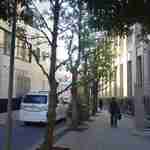 うどん 丸香 - 一度右折して道なりにしばし進み