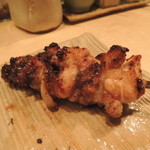 鳥しき - さえずり（食道器官部分）2015.4