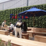 カムデンズ ブルー スター ドーナツ - 