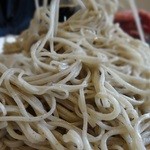 久保田 - ホシの入った二八そば