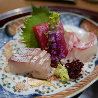 日本料理 とくを - 造り