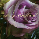 BAKERY ENGLAND STREET - お店の情報が載っている絵葉書