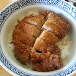 東庵 - タレかつタイプです