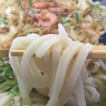 うどんの一平 - 麺は、やや細めながらモチモチ感あり