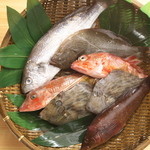 ヱbiyadaishokudou - 三重県産地魚