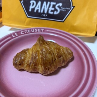 パネス_0