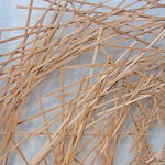 フォーシーズンズホテル丸の内　東京 - 部屋内インスタレーション　アップ