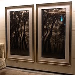 フォーシーズンズホテル丸の内　東京 - ７階　ギャラリー