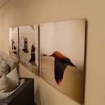 フォーシーズンズホテル丸の内　東京 - ７階　ギャラリー２