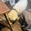 レイク サイド ファクトリー - 