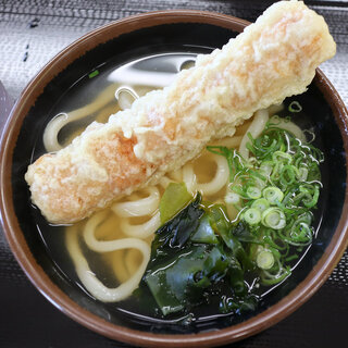 さか枝うどん_0