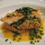 アロマフレスカ - 赤座海老のリゾピラフ