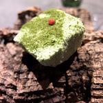 フロリレージュ - 投影 ハコベなどの春野菜のピューレと山羊のチーズの冷たいスフレ