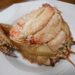 ・・・ - ぎっしり詰め込まれ