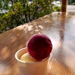 fil ice cream&coffee - 料理写真: