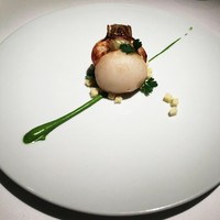 レフェルヴェソンス - 