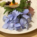 Hiroshima Eki Nishi Izakaya Ringo no Ki