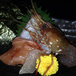 Sumibaka Ichidai - 活エビとお刺身ごはんと海苔を添えて