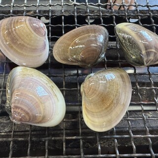 焼蛤 浜茶屋 向島_1