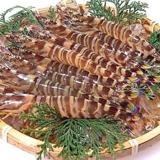 海鮮居酒屋 はまさき商店_1