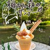 梅カフェ 森のドッグパーク