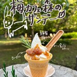 梅カフェ 森のドッグパーク - 料理写真: