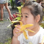 South Kona Fruit Stand - バナナ