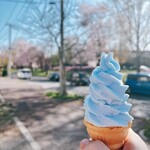 たい夢 - 料理写真: