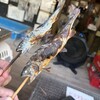 自然の森フィッシングリゾート
