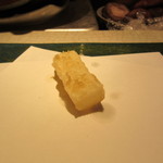 なかがわ - アオリイカ