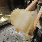 なかがわ - アオリイカ　断面　中心部はレア