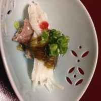 まとの - 酢もの　白魚
