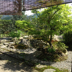 山茶花 - 座敷から見える庭