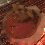 神戸元町 築地和光 - 帆立。