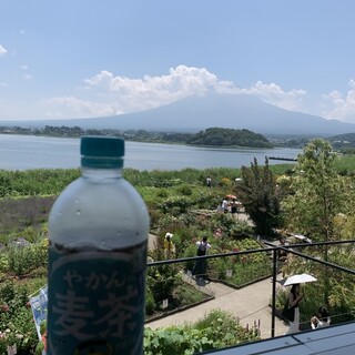 富士山の見えるカフェ_0