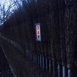 素透撫 - 竹ぼうきの壁