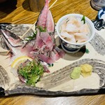 四十八漁場 - 真鯵の刺身と白バイ貝の刺身