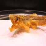 まつむら - 【2014.3.13】稚鮎揚がりました