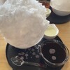 氷問屋 野澤屋 - 信州ぶどう＋ミルクトッピング①