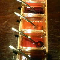 MAIMON GINZA - 