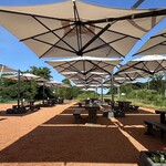 らぽっぽ 森のおいもCAFE - テラス席