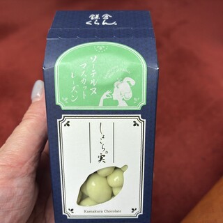 鎌倉くらん_0